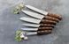 Нож для стейков и томатов Fiskars Norr 12 см (1016472) 1016472 фото 4