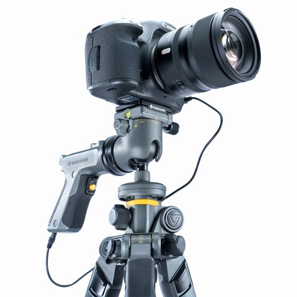 Штатив Vanguard Alta Pro 2+ 263CGHT (Alta Pro 2+ 263CGHT) DAS302031 фото