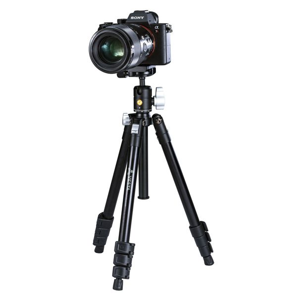 Штатив Vanguard Vesta FB 204ABS (Vesta FB 204ABS) DAS301002 фото