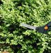 Ножиці для трави Fiskars Solid S50 15 см (1000557) 1000557 фото 3