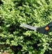 Ножницы для травы Fiskars Solid S50 15 см (1000557) 1000557 фото 3