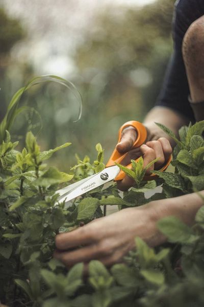 Ножиці універсальні Fiskars Classic 21 см (1000815) 1000815 фото